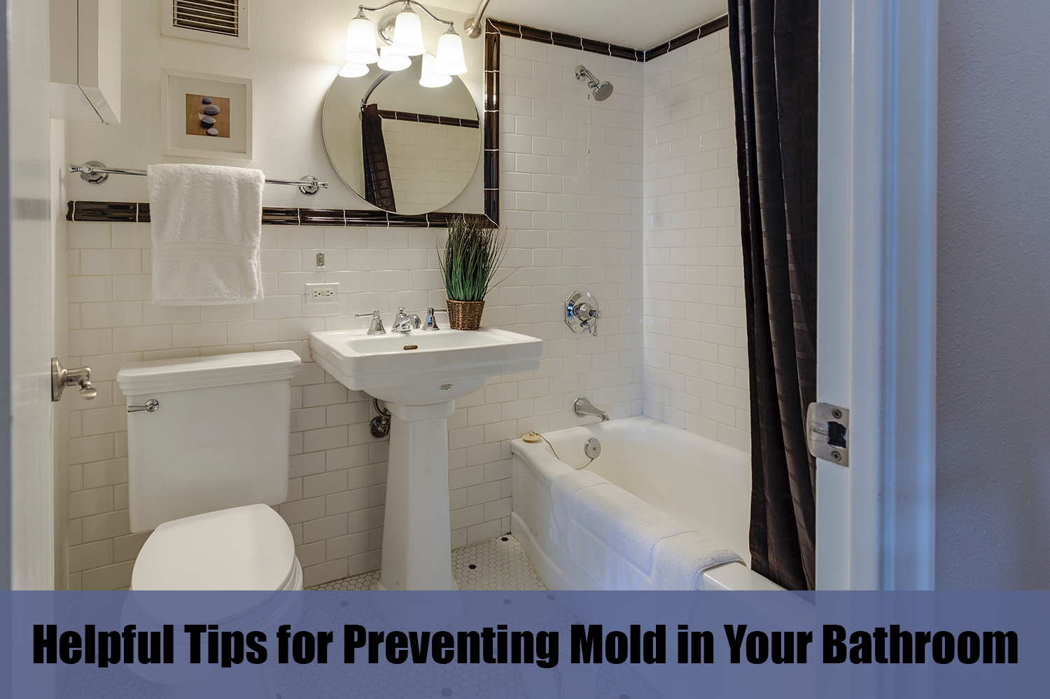 A clean toilet, shower, bathtub, and sink in a home to prevent mold in your bathroom.