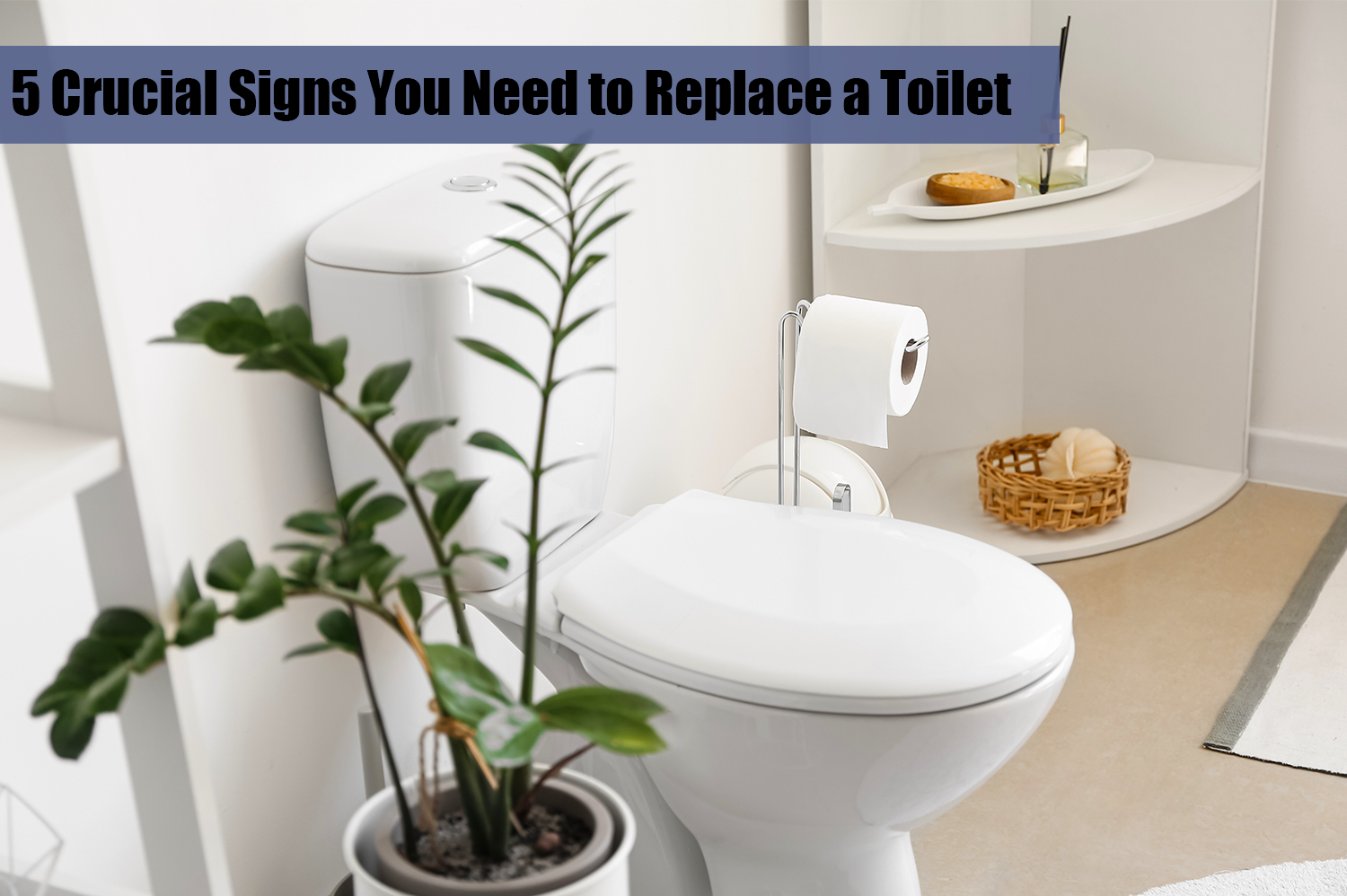 A white toilet in a white bathroom with a green plant next to it - a bathroom ready to replace a toilet.